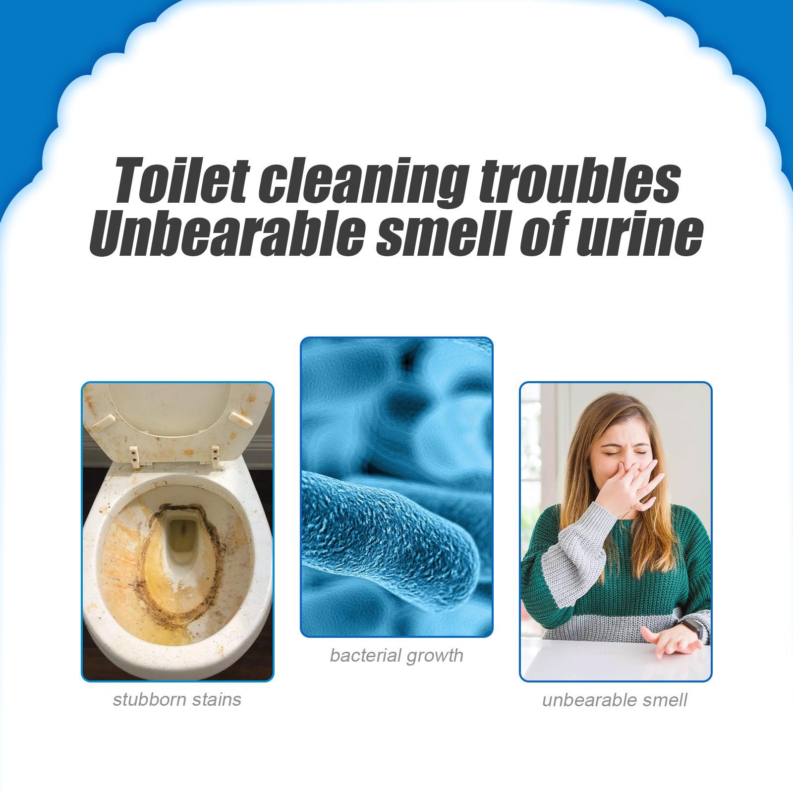 Toilet Bowl Cleaner Powder Dee - Home Bathroom Cleaning Solution review and price